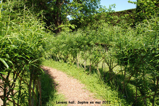 Levens Hall: labyrinthe en osier