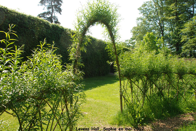 Levens Hall: labyrinthe