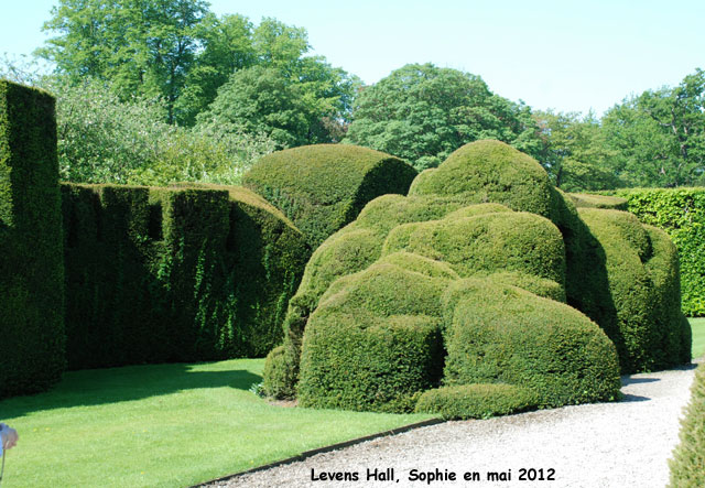 Levens Hall: topiaires