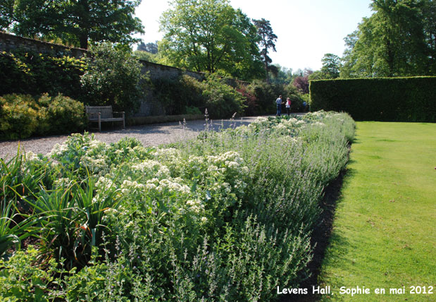 Levens Hall: bordure boulingrin