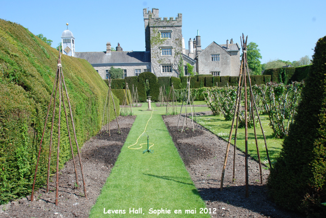 Levens Hall: noisetiers