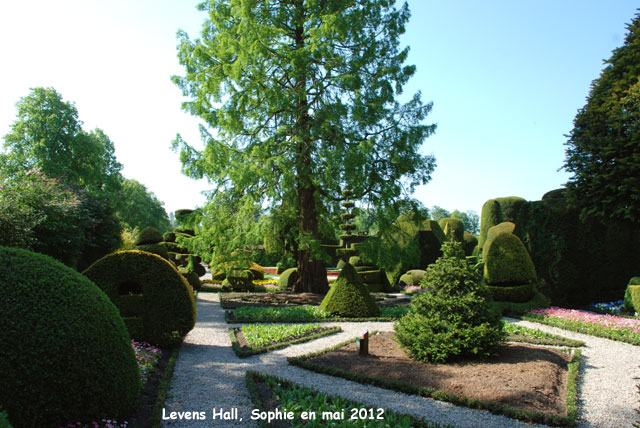 Levens Hall: topiaires