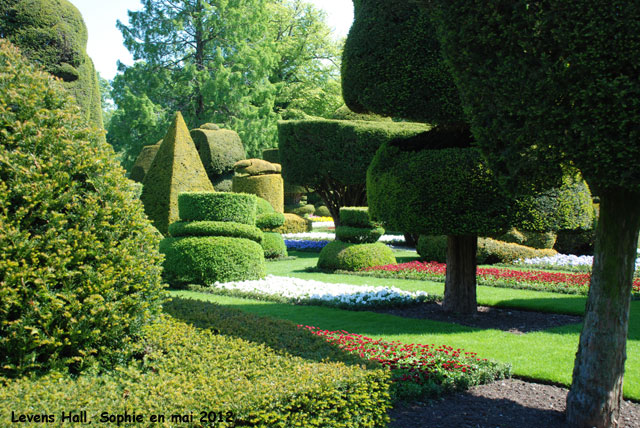 Levens Hall: topiaires