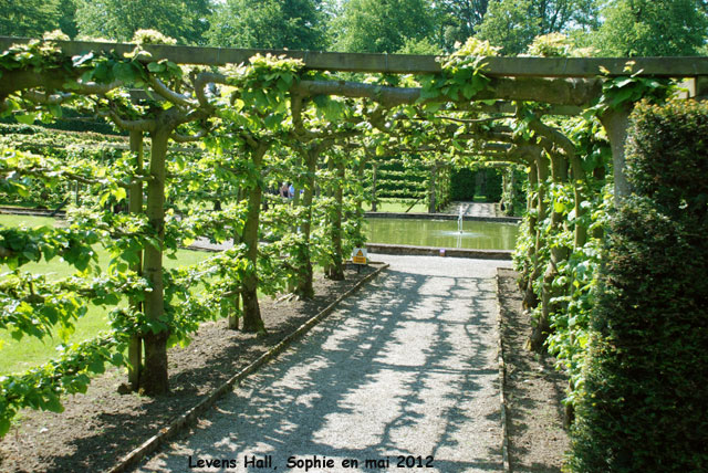 Levens Hall: pergola de tilleul