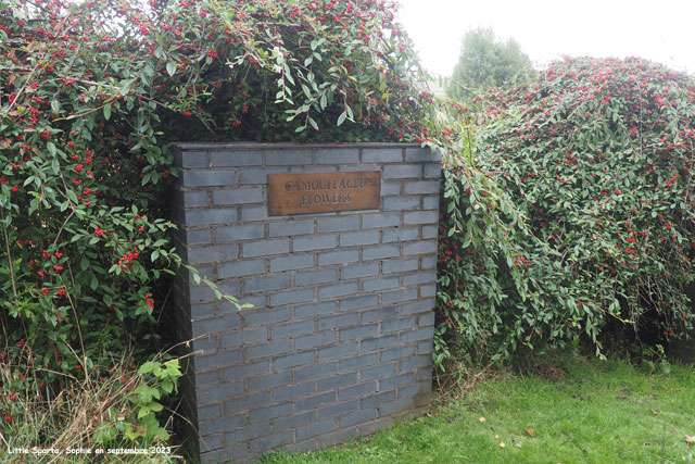 murets de briques à Little Sparta