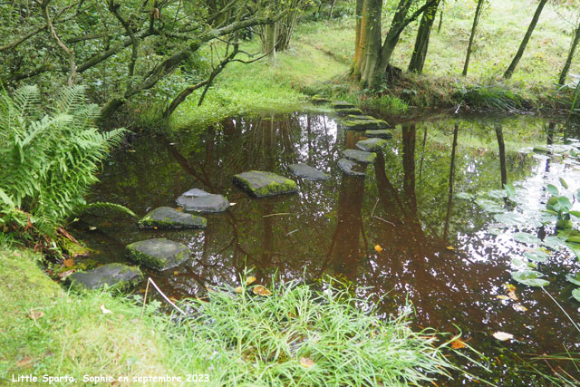 bassin à Little Sparta