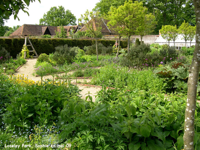 loseley: aromatiques