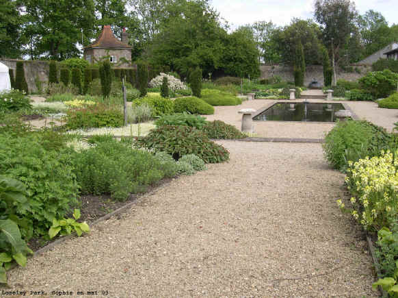 loseley: jardin blanc