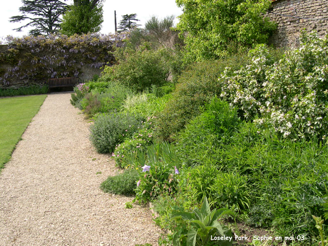 loseley: bordure grise