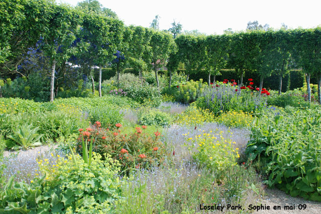 loseley: couleurs