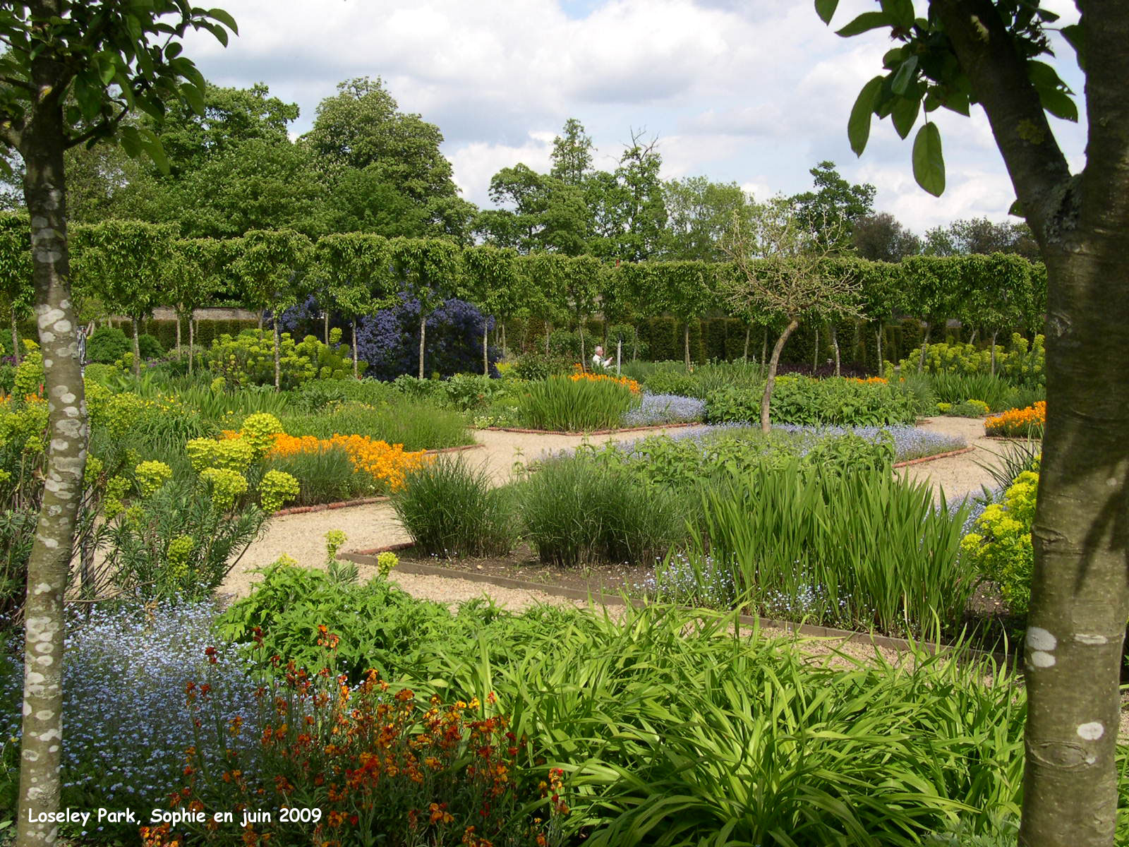 loseley: couleurs