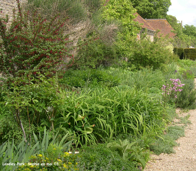 le château à Loseley