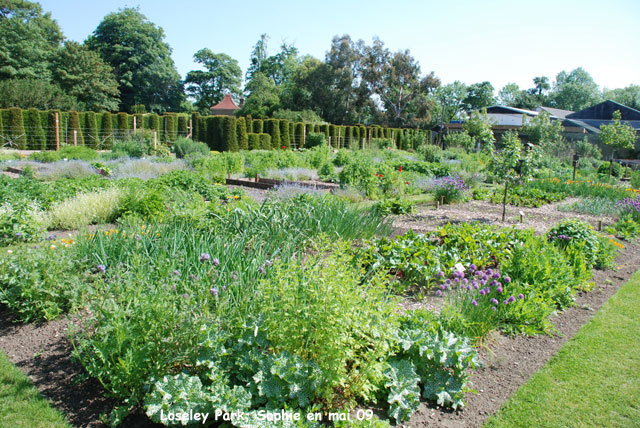 loseley: potager