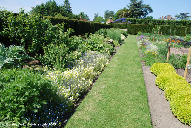 loseley: aromatiques