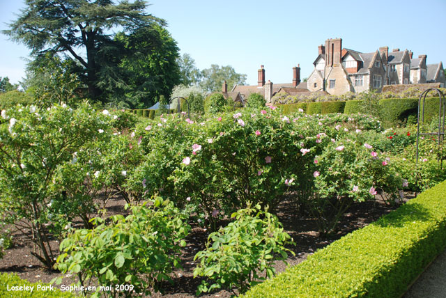 loseley