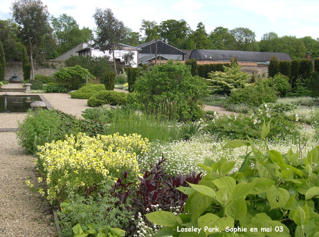 Loseley Park: le jardin blanc