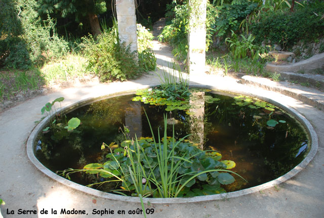 Serre de la Madone: le petit bassin