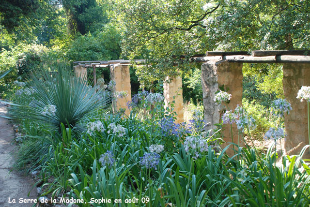 Serre de la Madone: la pergola