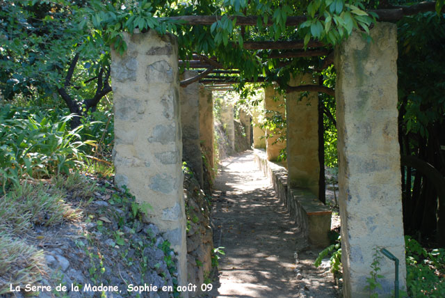 Serre de la Madone: la pergola