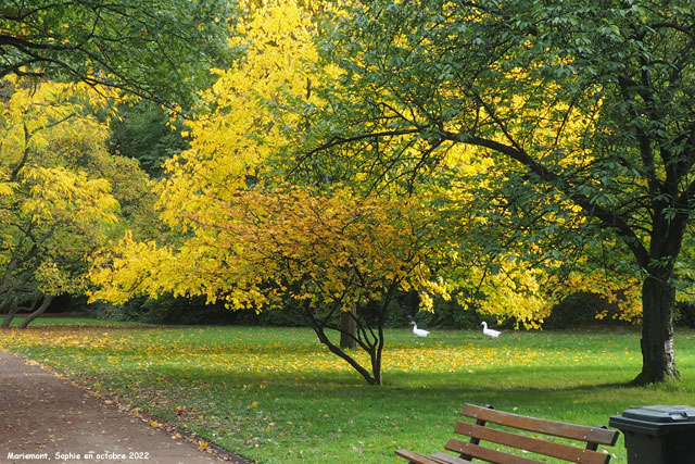 couleurs d'automne à Mariemont