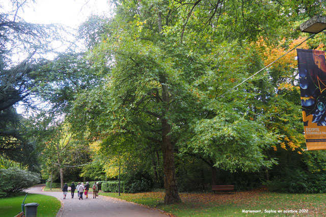 entrée à Mariemont