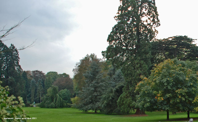 paysage à Mariemont