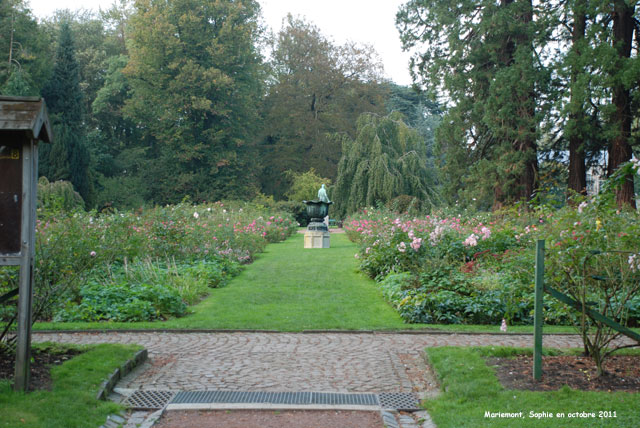 roseraie à Mariemont