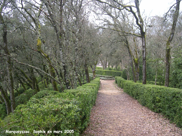 marqueyssac: allée boisée