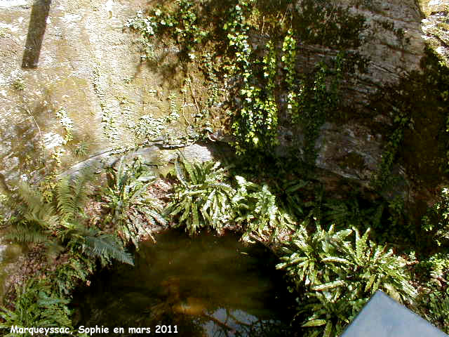 marqueyssac: le puits