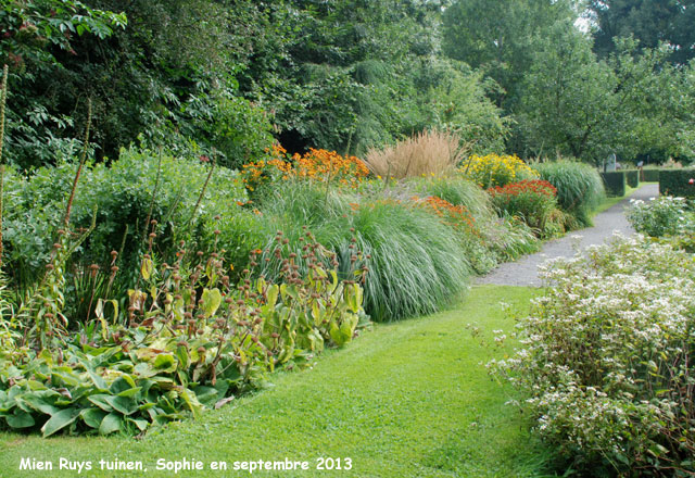 Mien Ruys: helenium