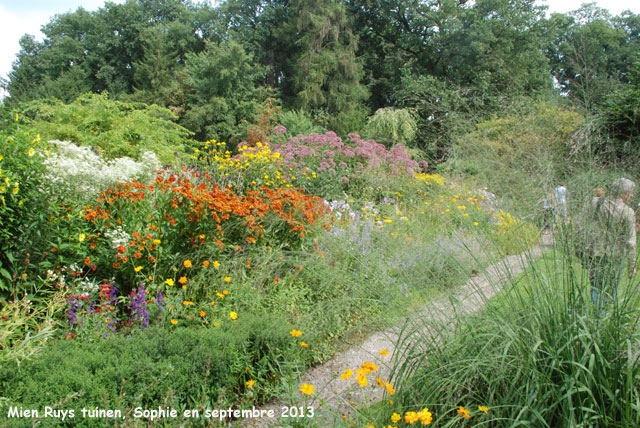 Helenium chez Mien Ruys