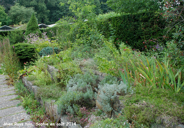 Mien Ruys: jardin d'eau