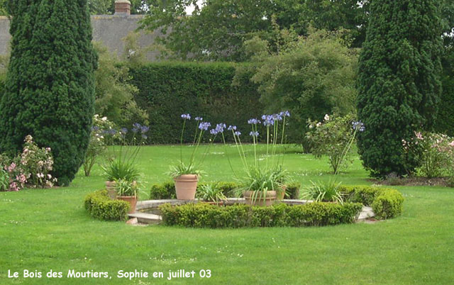 La roseraie de Mary au Bois des Moutiers