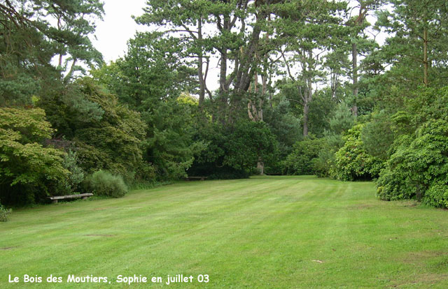 Le Bois des Moutiers: la valleuse.