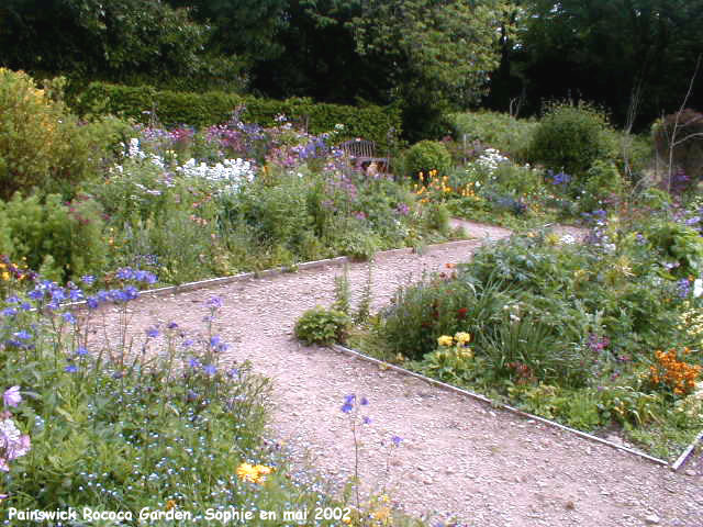 painswick: fleurs