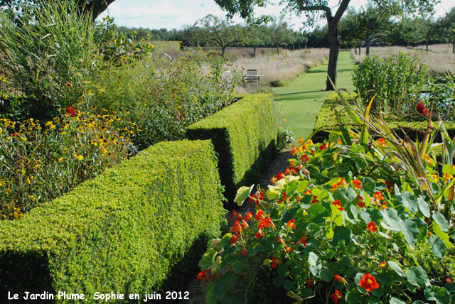  jardin Plume: été