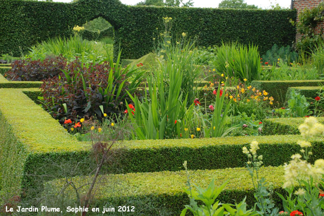  jardin Plume: été