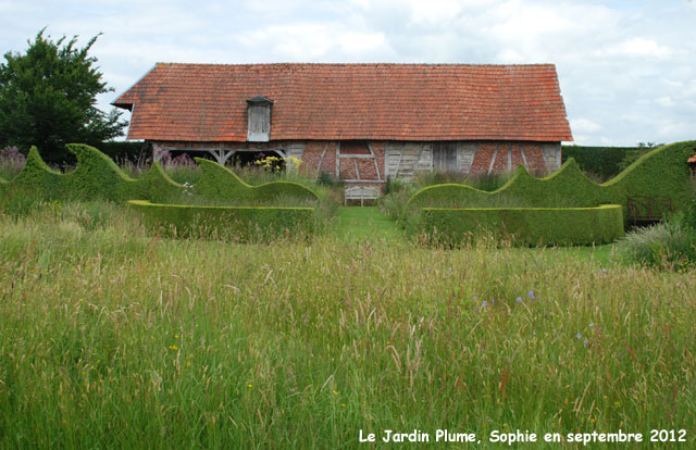 haies au jardin Plume