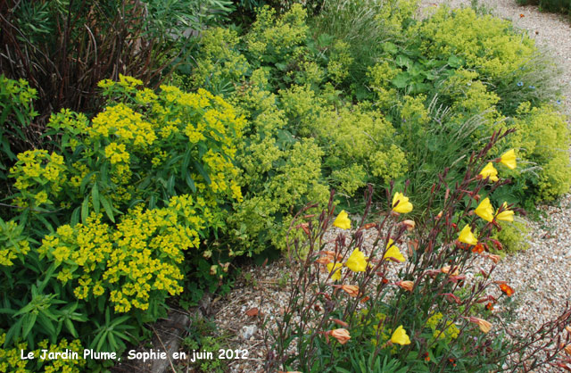 le jardin Plume