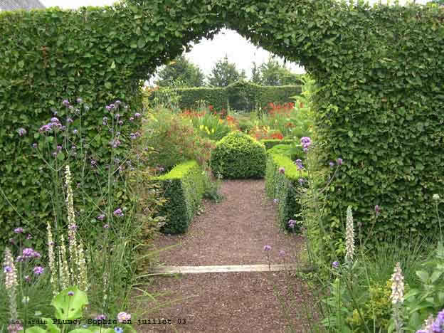 haies au Jardin Plume 