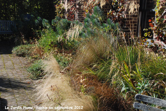  jardin Plume: mur du jardin d'été