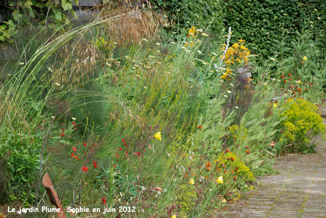  jardin Plume: été