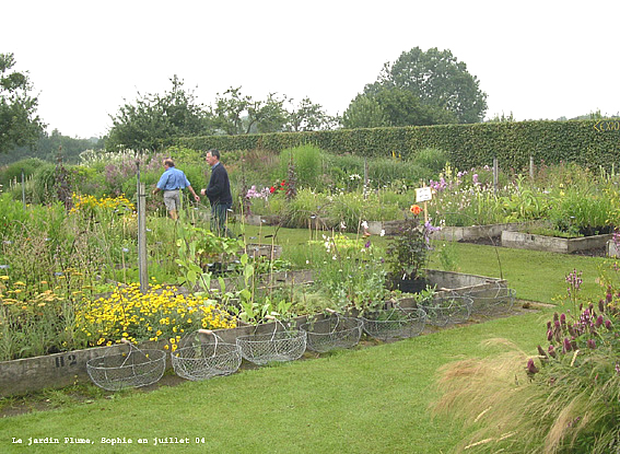 La p�pini�re du jardin PLume