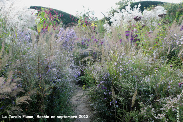  jardin Plume: automne