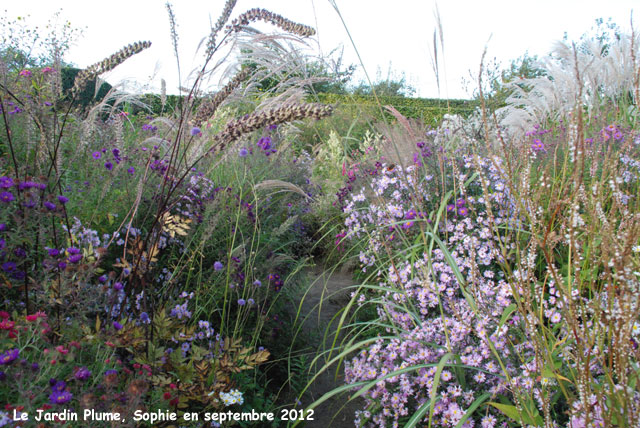  jardin Plume: automne