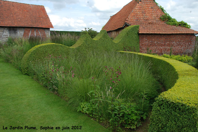 haies au jardin Plume