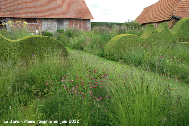 haies au jardin Plume