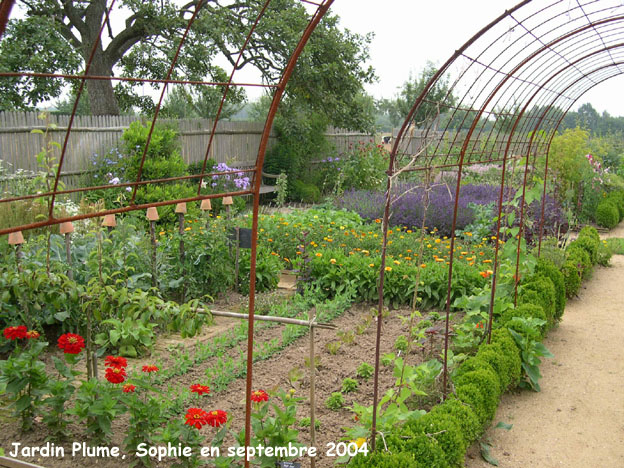 Plume: potager