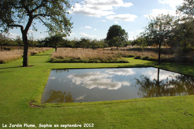 Plume: le bassin