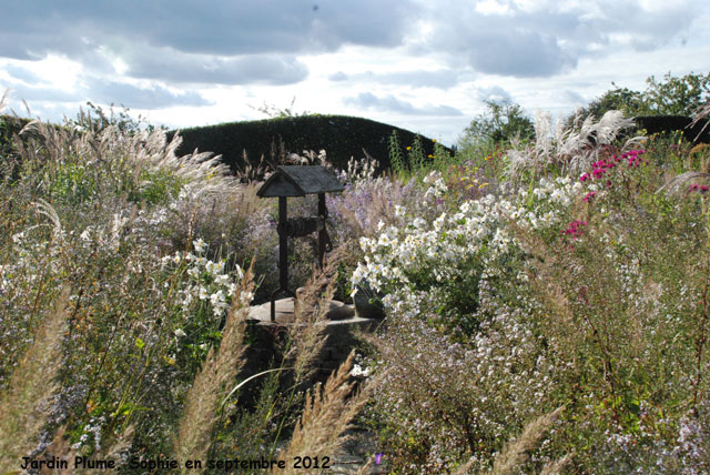 jardin Plume: puits